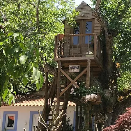 Apartamento Casa Oliva - Casa Da Mata Porto de Mós
