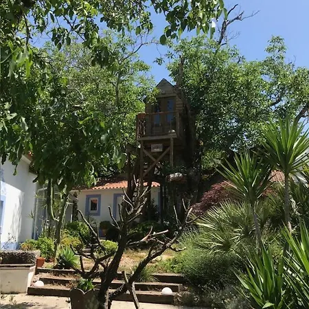 Apartment Casa Oliva - Casa Da Mata Porto de Mos (Leiria)