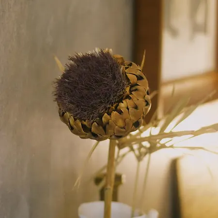 Casa Oliva - Casa Da Mata Apartment *