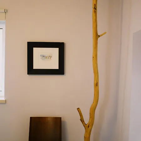 Casa Oliva - Casa Da Mata *