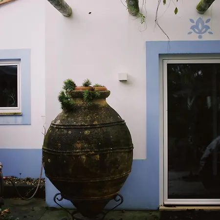 Casa Oliva - Casa Da Mata Porto de Mos (Leiria)