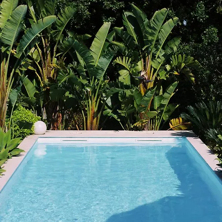 Casa Oliva - Casa Da Mata *